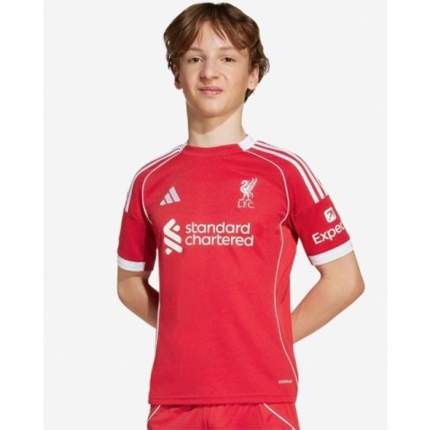 Koszulka adidas Liverpool LFC Home Jr JV6436 152