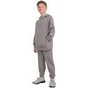 Spodnie 4F CAS M1245 Jr 4FJWAW25TTROM1245 22S 134 cm