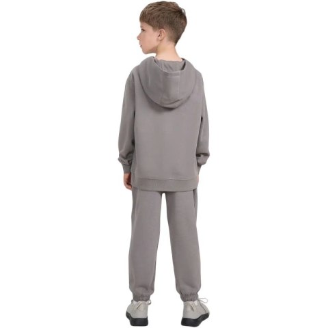 Spodnie 4F CAS M1245 Jr 4FJWAW25TTROM1245 22S 134 cm Spodnie 4F CAS M1245 Jr 4FJWAW25TTROM1245 22S 134 cm