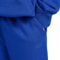 Spodnie 4F CAS M1245 Jr 4FJWAW25TTROM1245 36S 146 cm