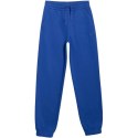 Spodnie 4F CAS M1245 Jr 4FJWAW25TTROM1245 36S 152cm
